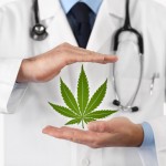 Que faut-il savoir sur le cannabis thérapeutique?